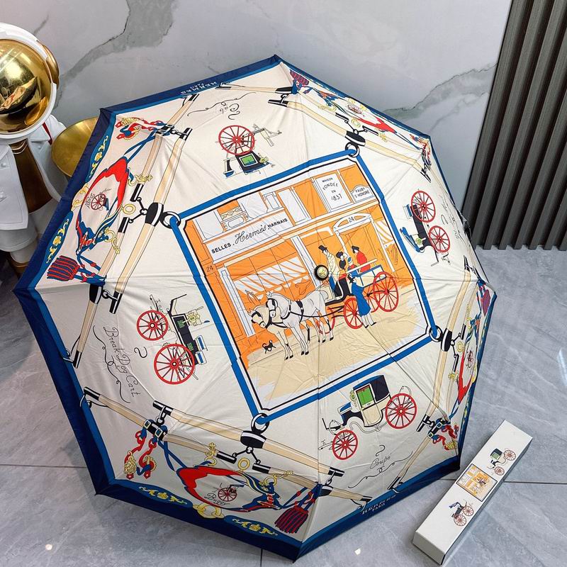 Hermes Umbrella hm31