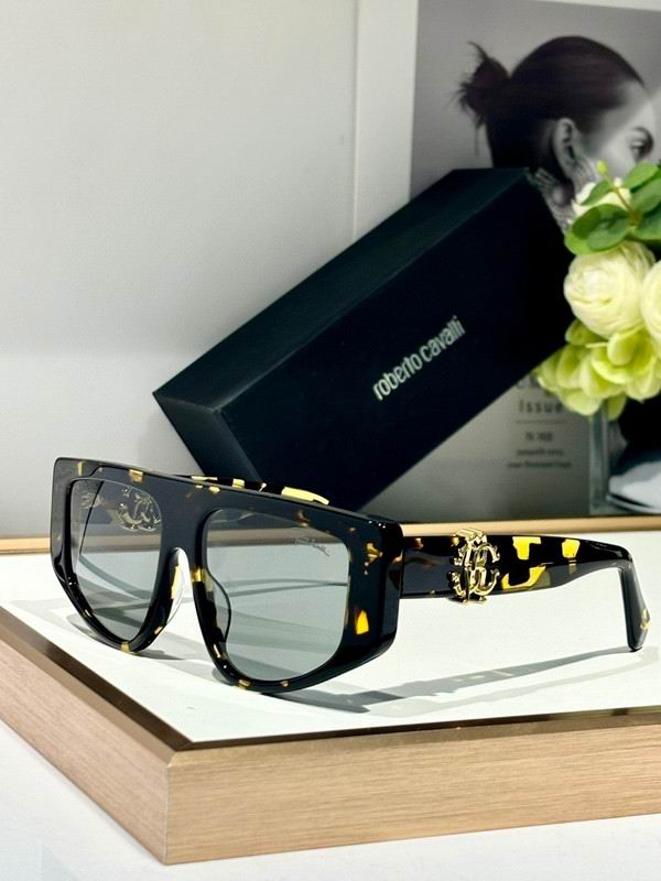Roberto Cavalli Glasses 03smh05