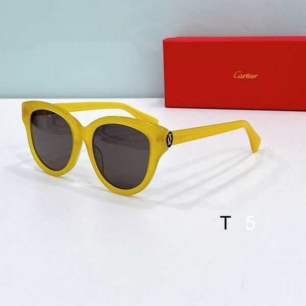 Cartier CT0506 55-19-145 F