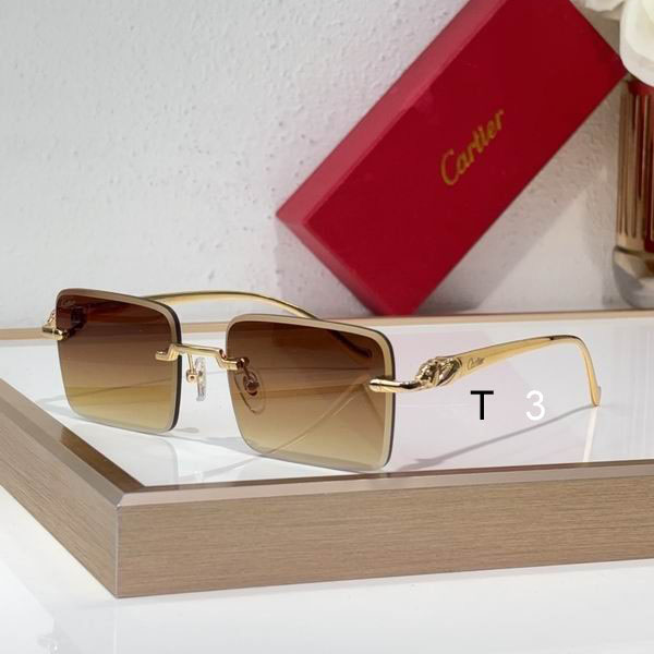 Cartier CT0058O 55 19-130 C
