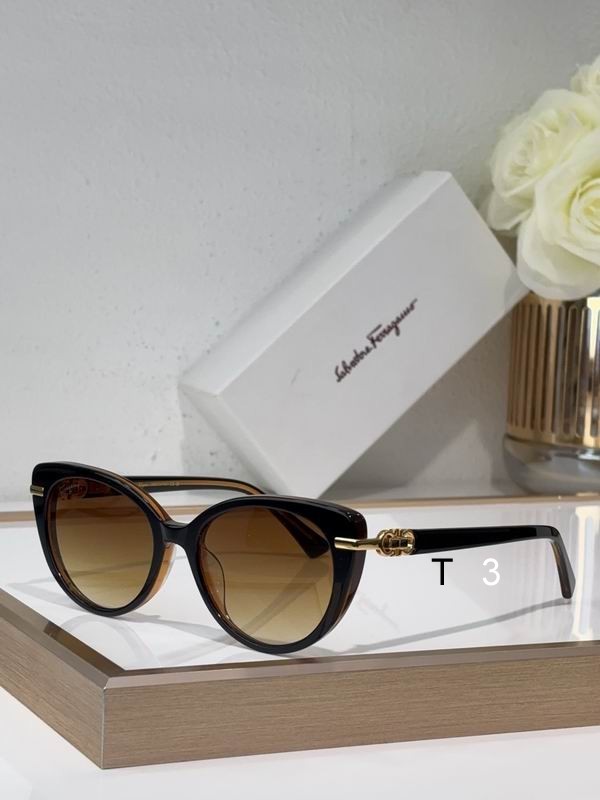 Ferragamo SF1092SLB 52 19-145 C