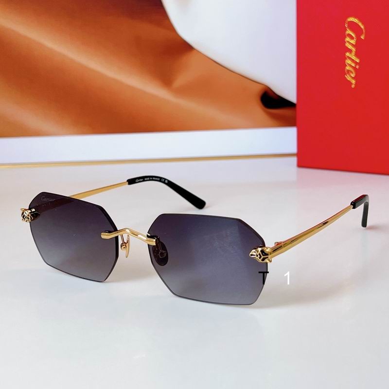 Cartier CT0504S 58 18-145 a