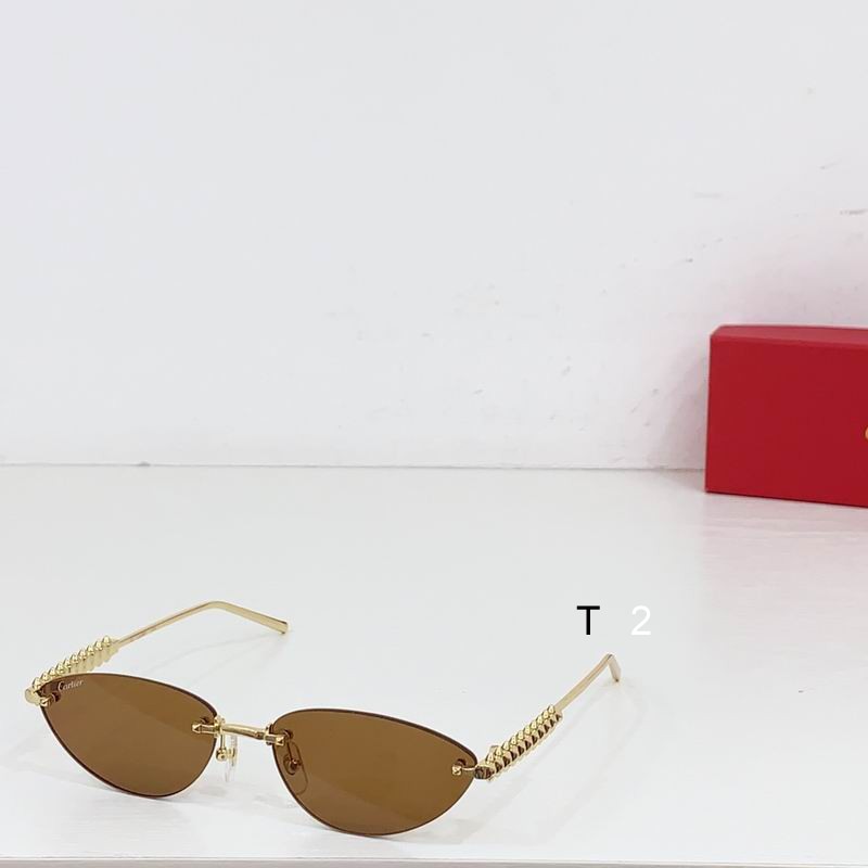 Cartier CT0543S 48 21-145 b