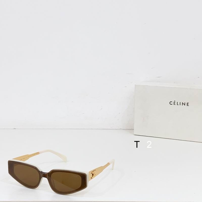 CELINE CL42098U 51 21 145 b