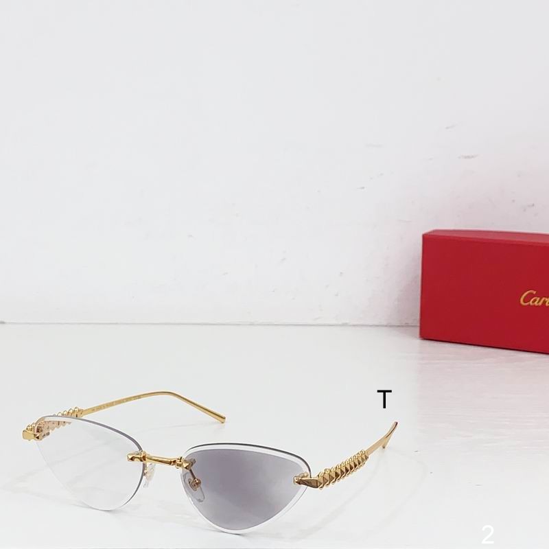 Cartier CT0543S  b