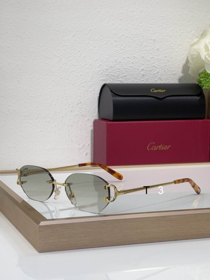 Cartier CT0029RS 58 16-145 c