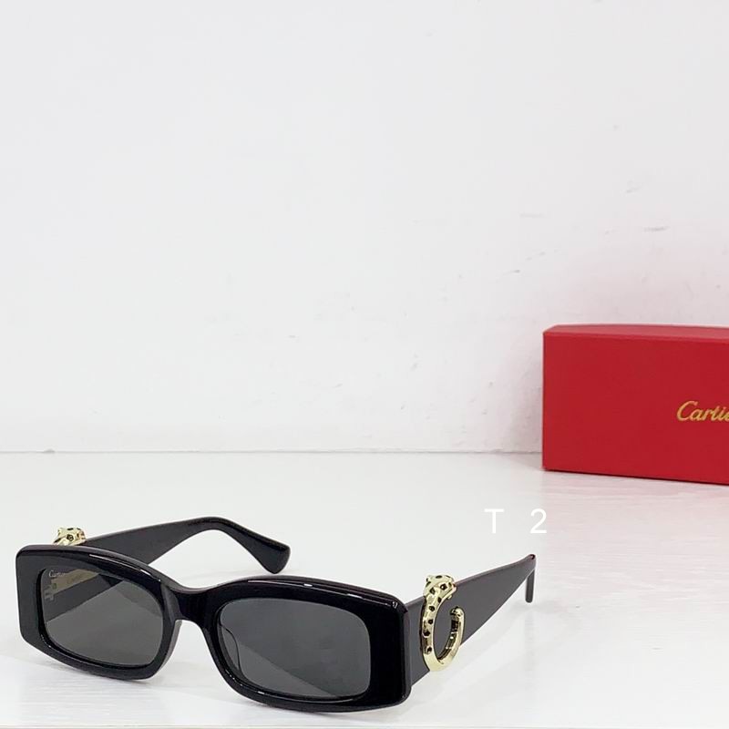 Cartier CT0505S 55-17 b