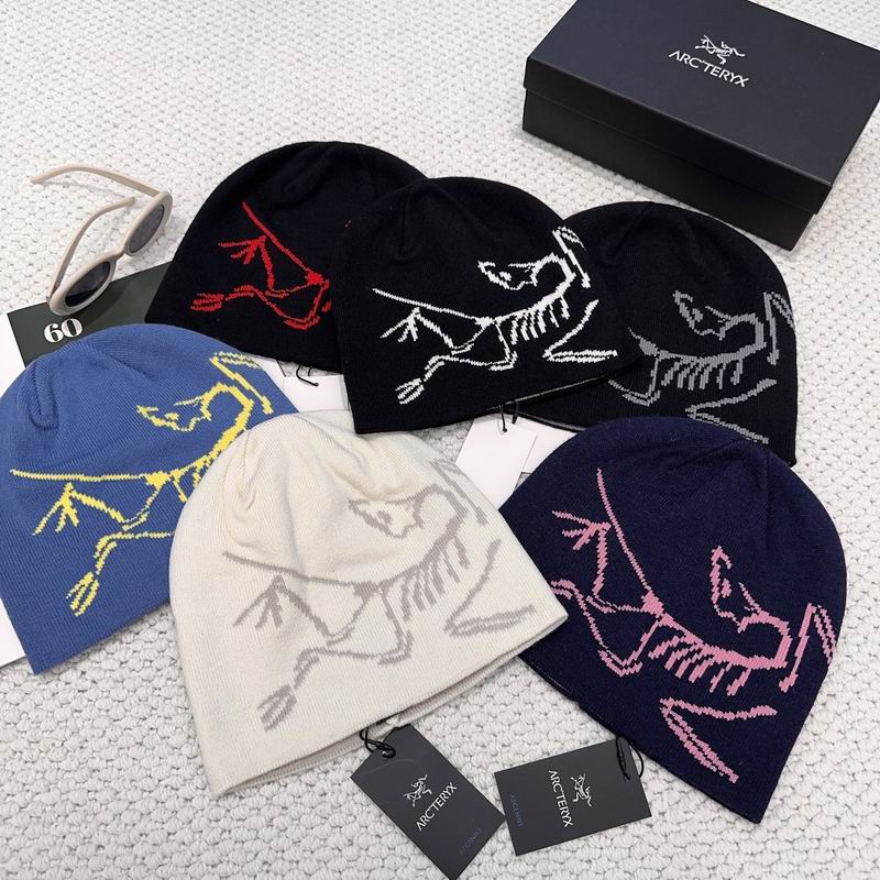 26 Arcteryx hat