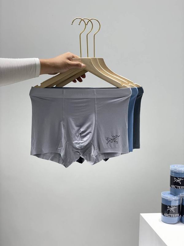 Arcteryx boxer L-3XL 10