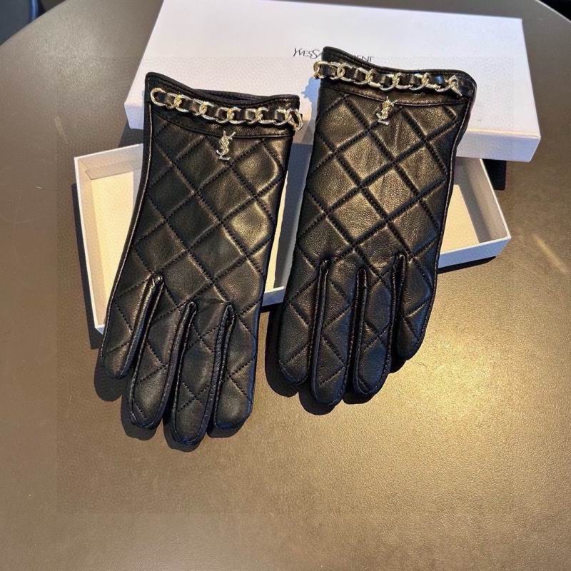 YSL Gloves hm