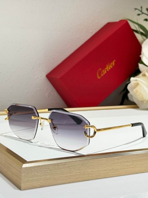 Cartier Glasses 08smh171