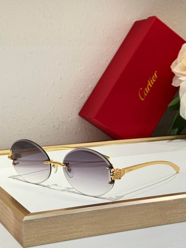 Cartier Glasses 08smh191