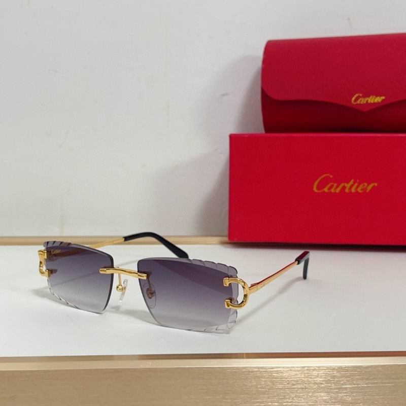 Cartier Glasses 08smh209