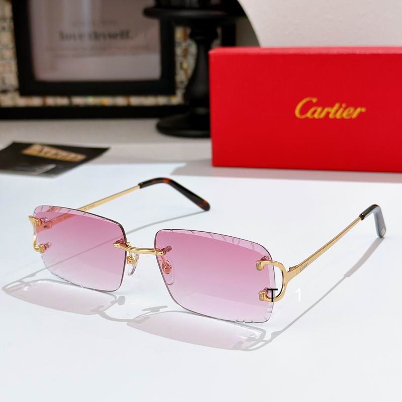 Cartier CT0243S 59 16-140 a