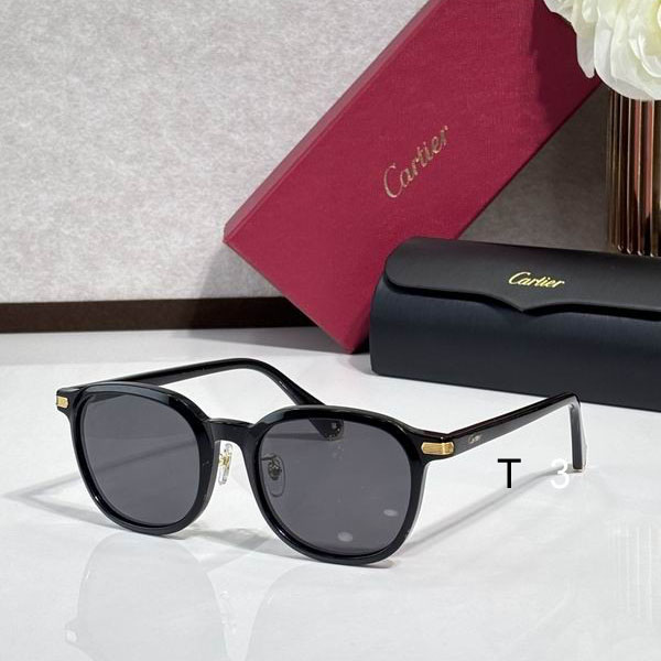 Cartier CT0541SA  53 21-145c