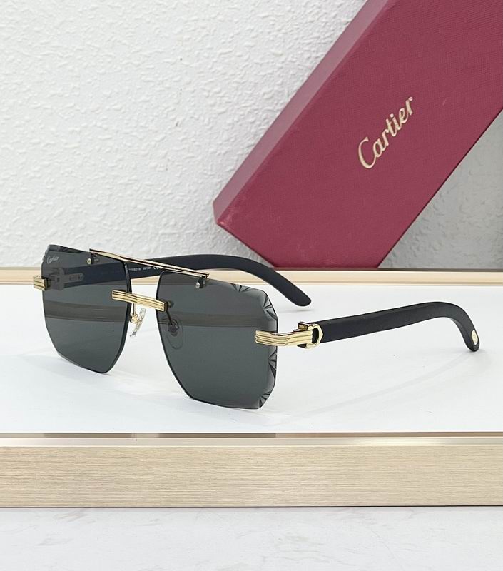 Cartier Glasses smr349