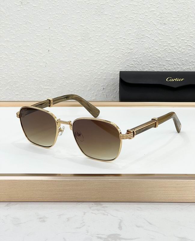 Cartier Glasses smr483