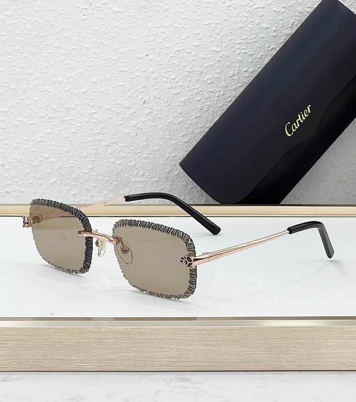 Cartier Glasses smr500