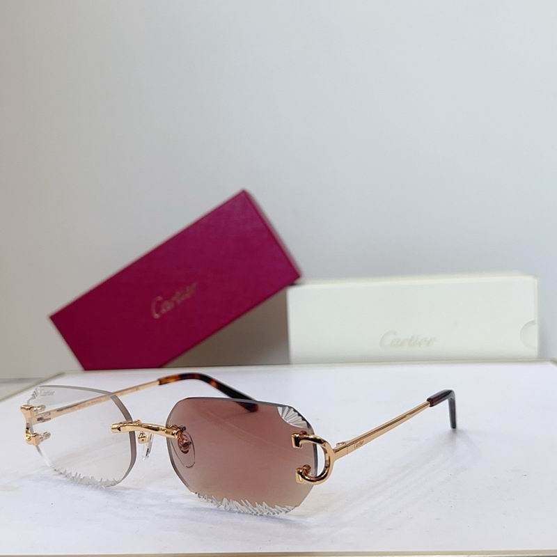 Cartier Glasses smr565