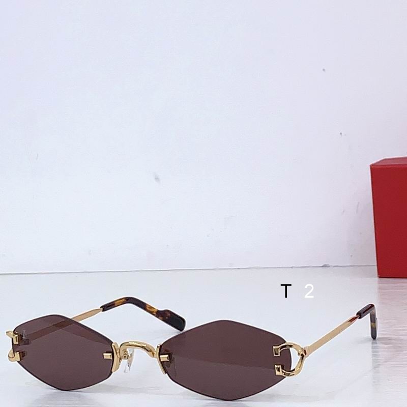 Cartier CT8100359 48 20-145 b