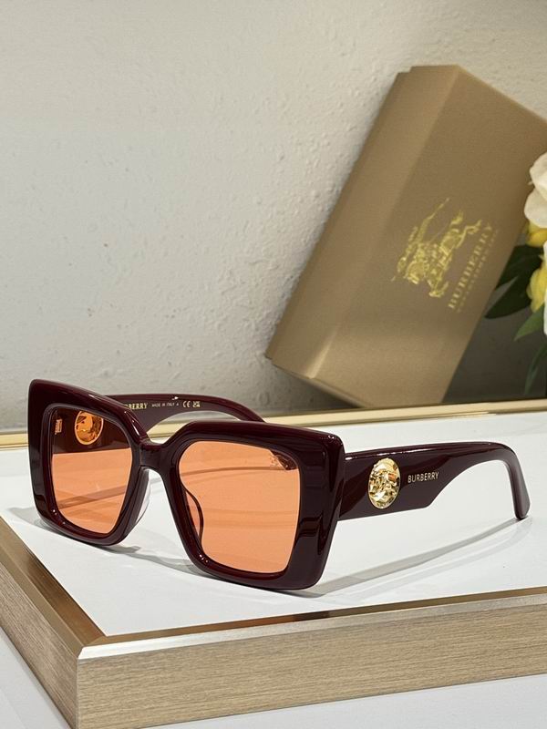 Burberry Glasses smr45