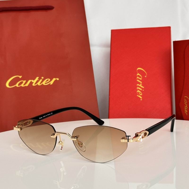 Cartier CT0580S 56 19-145 e
