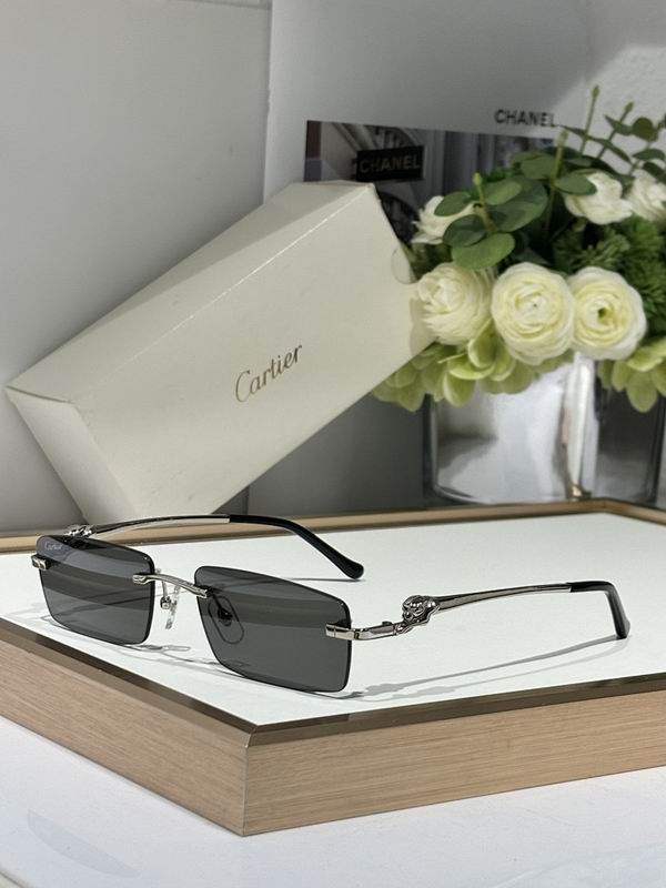 Cartier Glasses smr33
