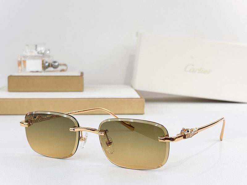 Cartier Glasses smr89