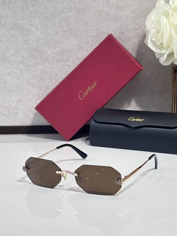 Cartier Glasses smr187