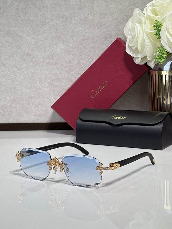 Cartier Glasses smr196