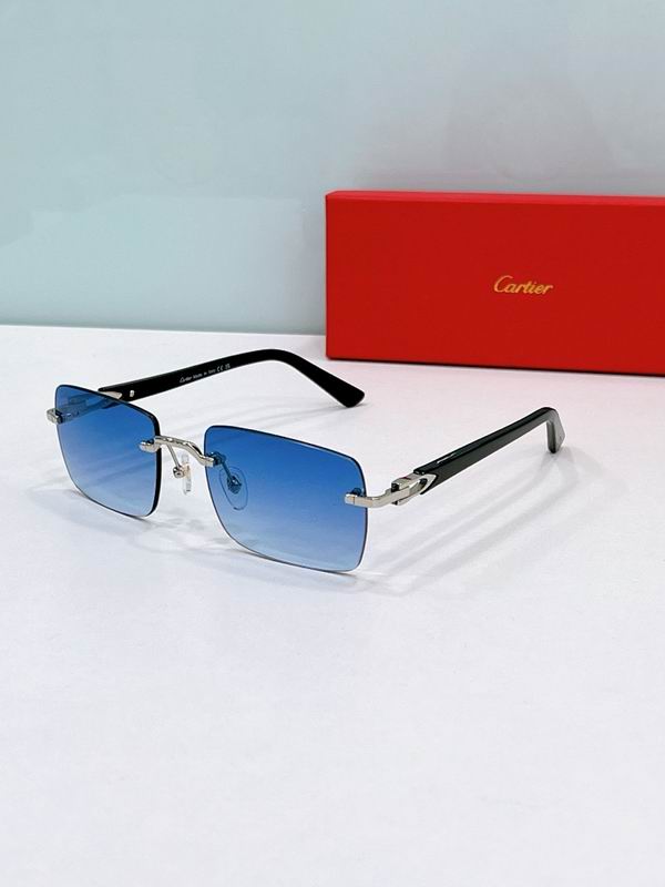 Cartier Glasses smr204