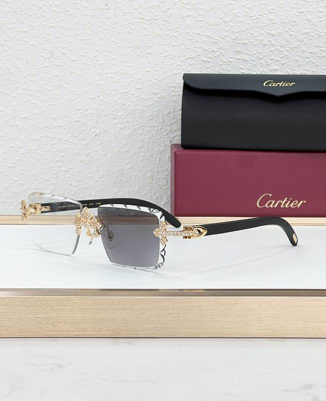Cartier Glasses smr271