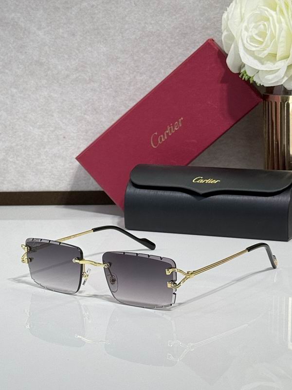 Cartier Glasses smr282