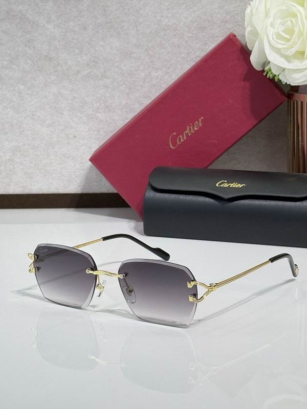 Cartier Glasses smr283