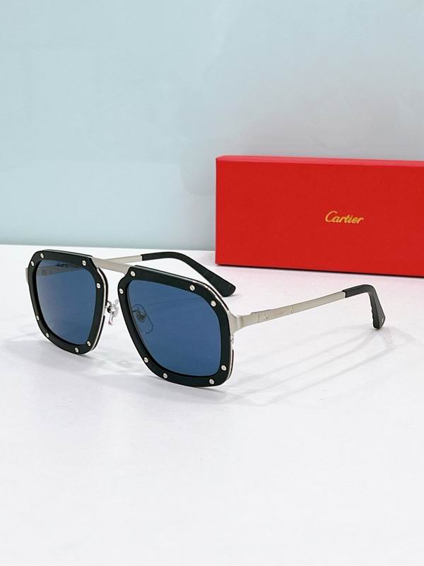 Cartier Glasses smr320