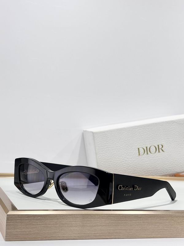 Dior Glasses smr66