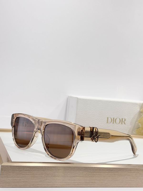 Dior Glasses smr67