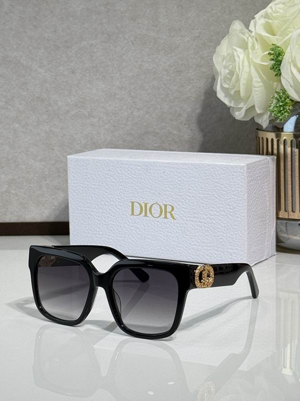Dior Glasses smr80