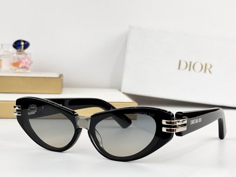 Dior Glasses smr97