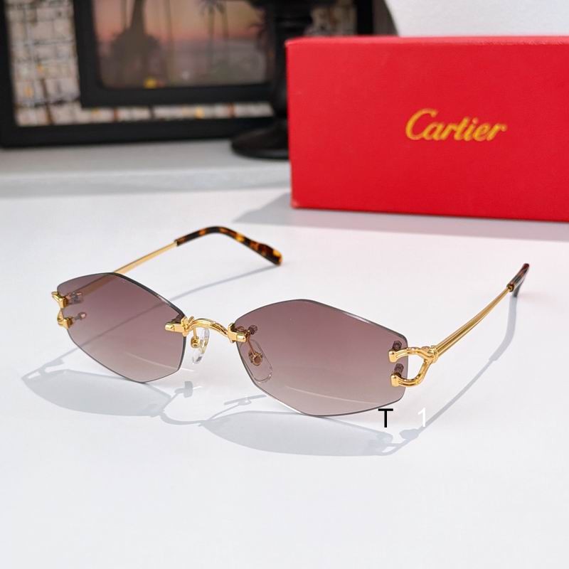 Cartier ESW00796 56 18-145 a
