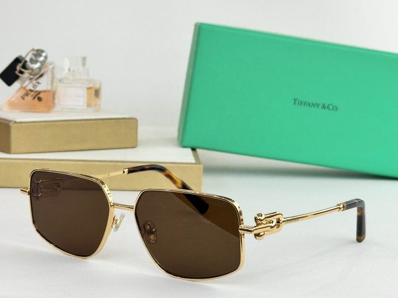 Gottega Veneta Glasses sms 35