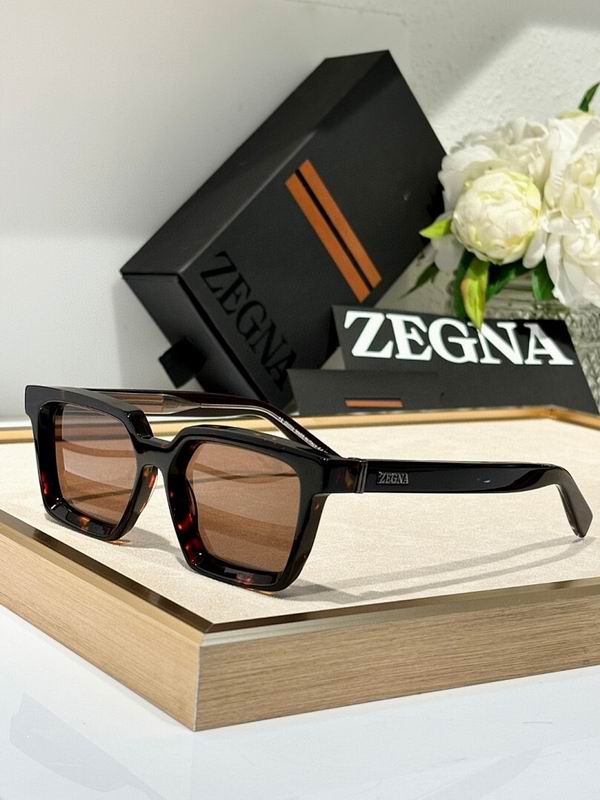 Zegna Glasses sms07