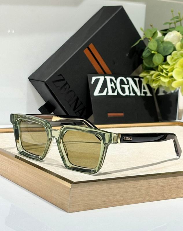 Zegna Glasses sms08
