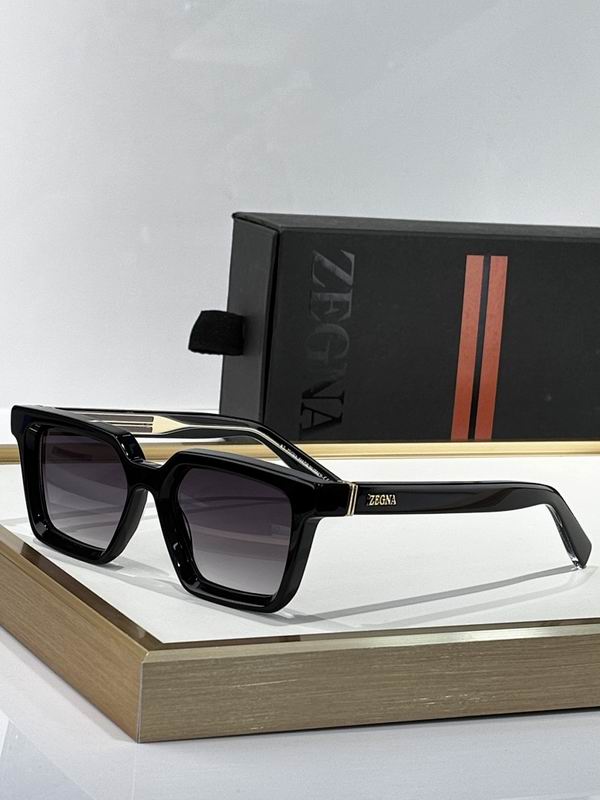 Zegna Glasses sms09