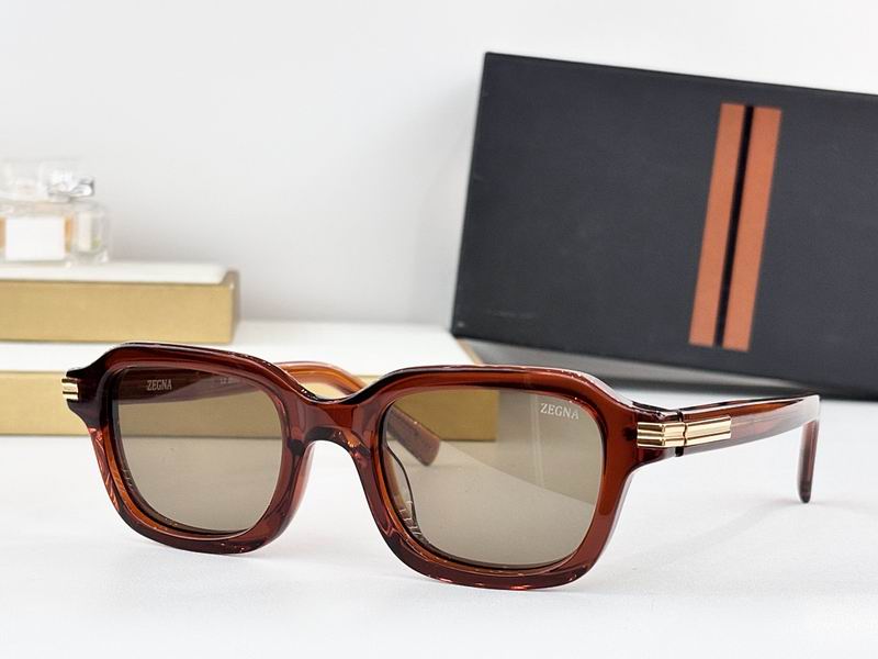 Zegna Glasses sms20