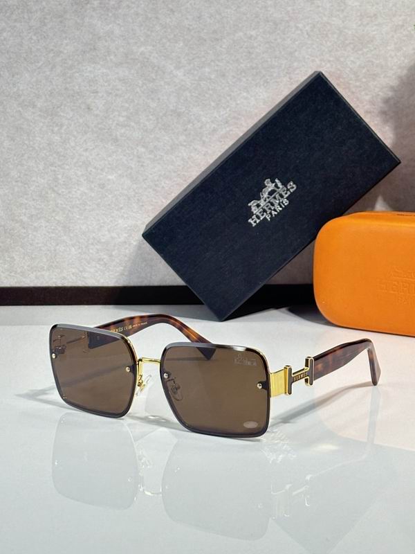 Hermes Glasses sms36
