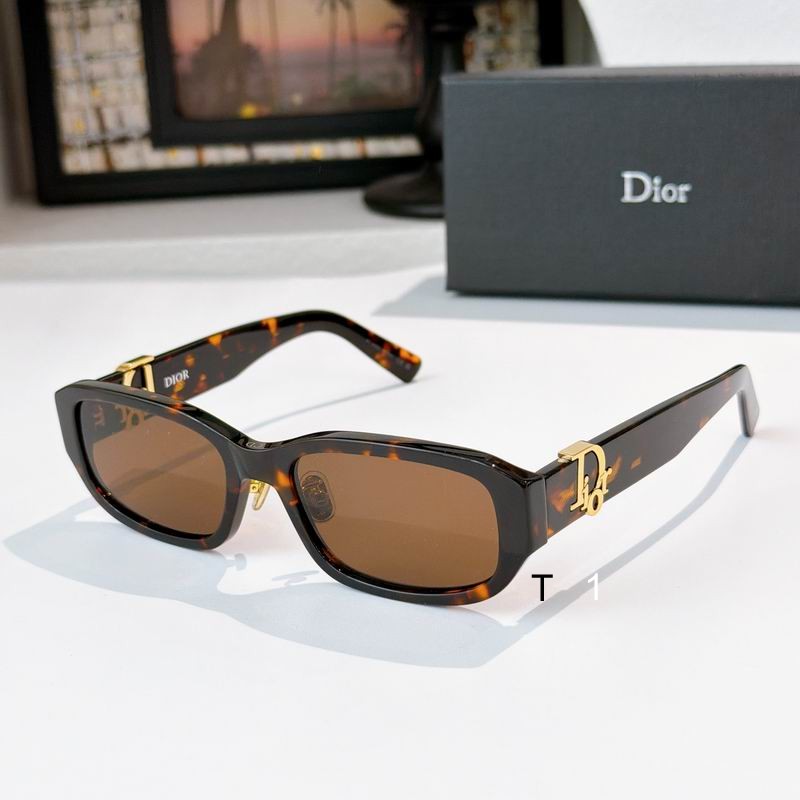 Dior Oblique 56 19-150 a