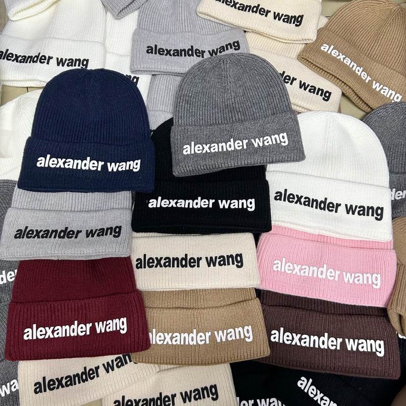 25 Alexander Wang Hat