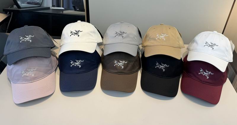 Arcteryx Cap 012502