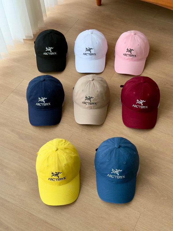 Arcteryx cap 041401